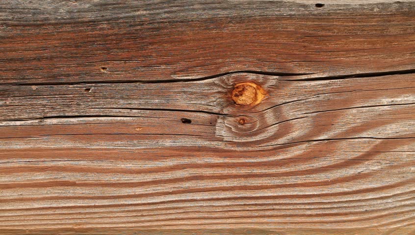 Wooden log background texture hd stock footage. a sliding shot of ...