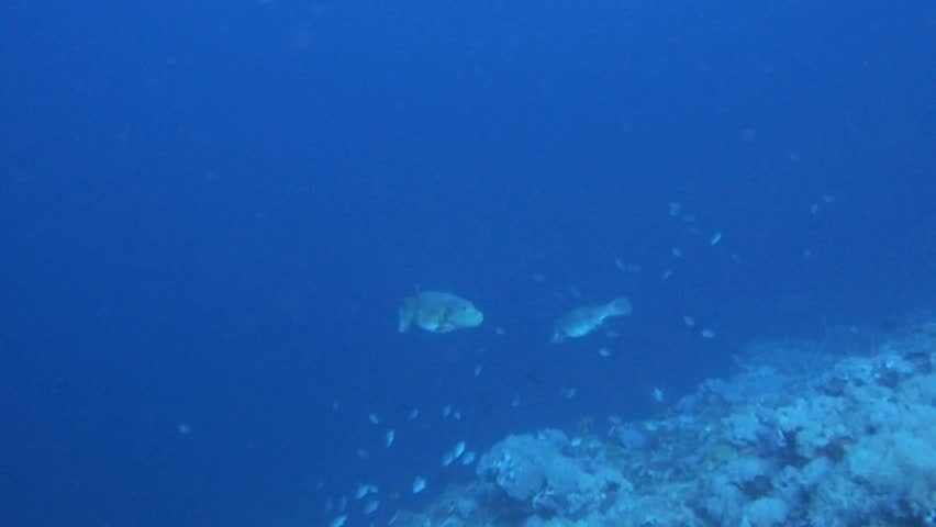 Define underwater stock options