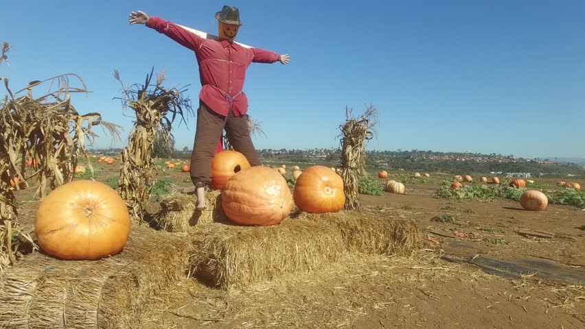 pumpkin-patch-font-dafont