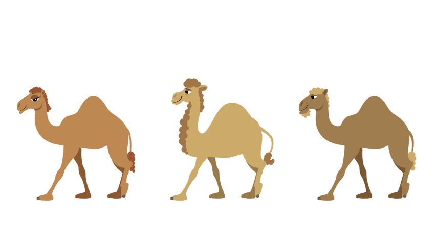 Three Wise Men Cycle: The Three Wise Men And Their Camels Walking Cycle