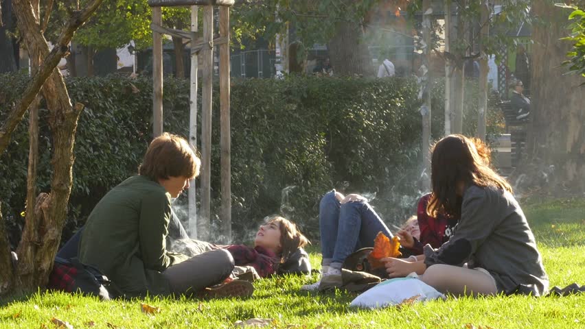 Cosa Fumare Al Posto Dell Erba