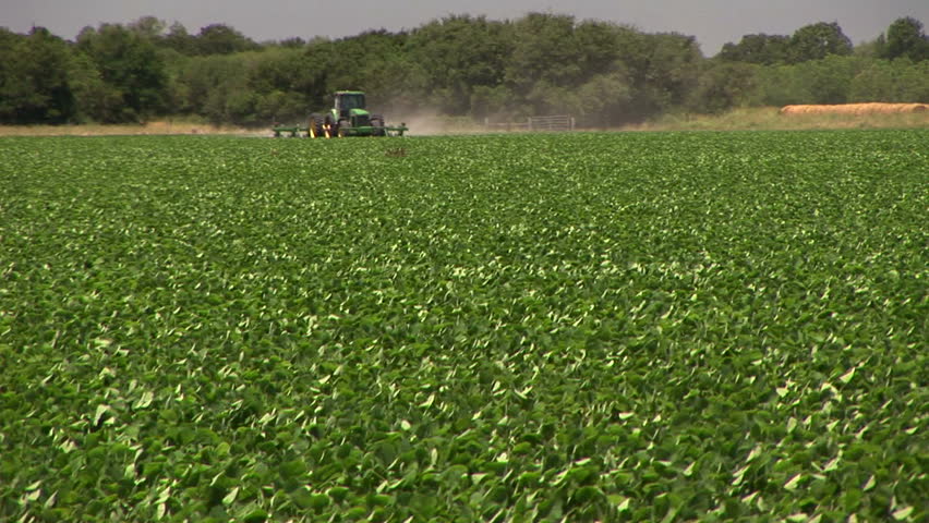 Farmer Combining Soybeans On Midwest Farm During Harvest Stock Footage Video 367582 Shutterstock