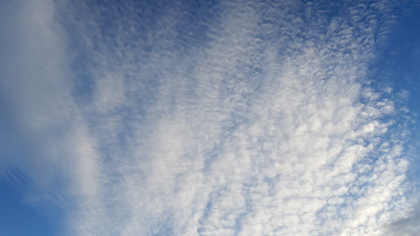 Header of altocumulus