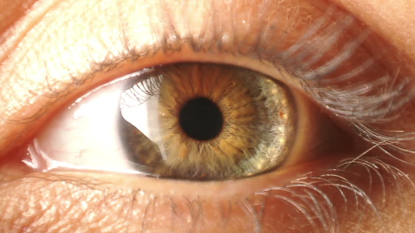 Header of Eye