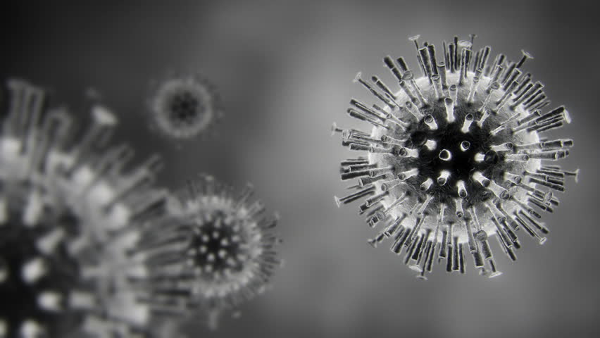 Animation Of The Avian Flu Virus, H5n1. Artist Impression. Perfect Loop 