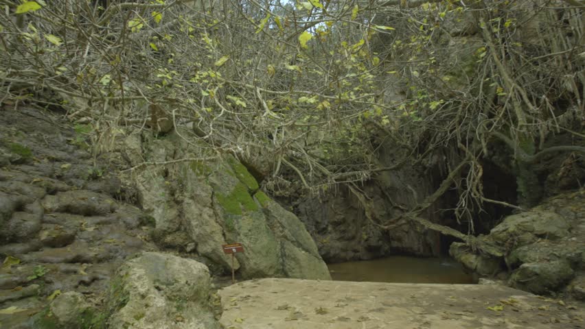 Header of Acamas