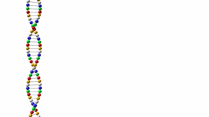 DNA On A Black Background Stock Footage Video 971143 - Shutterstock