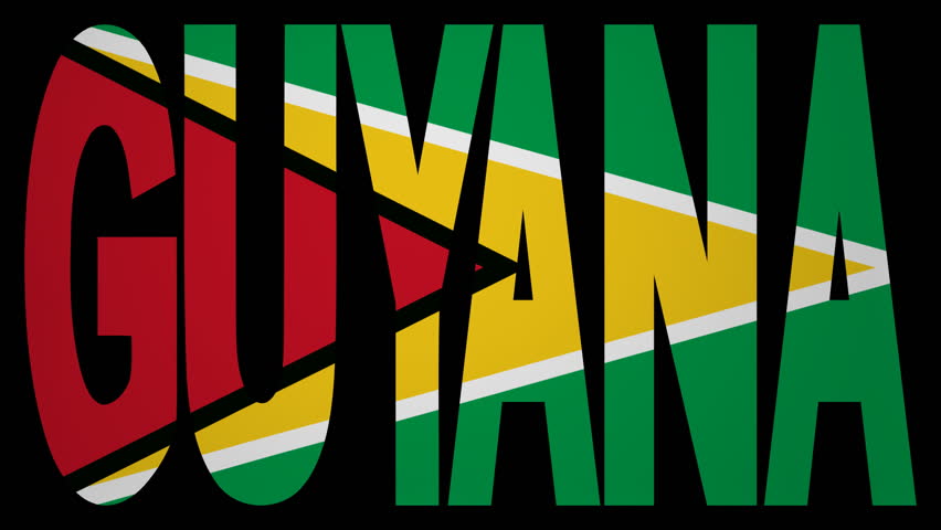 Image result for guyana flag animated