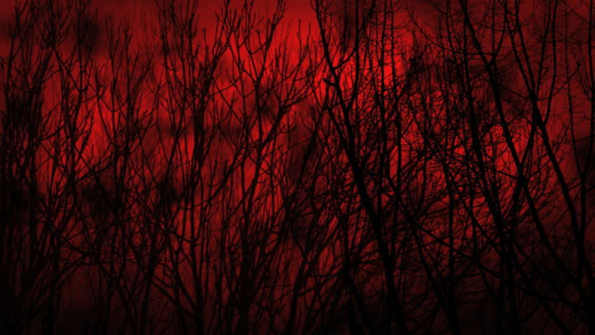 Scary Wood With Tree Branches Lit Up From Behind With Red Stock Footage
