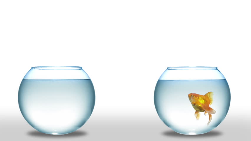 Header of change