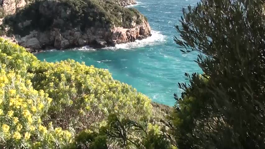 麦芽酒视频连体-海洛创意图片视频,视频,正版素音乐抹胸素材图片