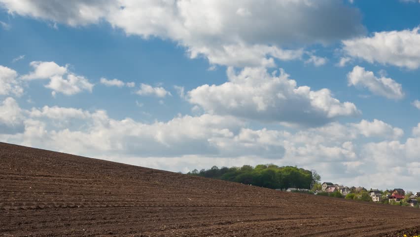 time-lapse-clip-hd-video-high-definition-sunny-day-in-the-field