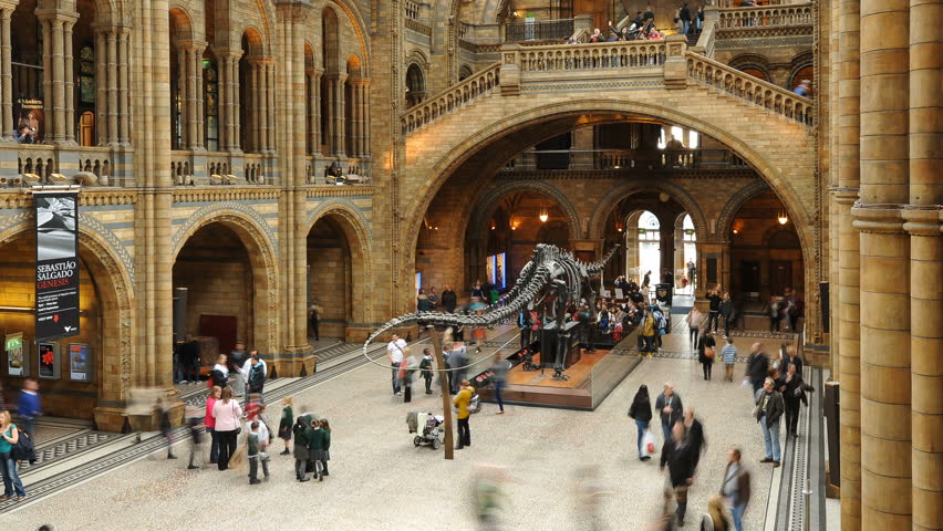 Museum Stock Footage Video Shutterstock Museum Stock Footage Video Shutterstock