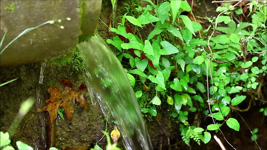 Storm Drain Runoff Draining Into A Spillway Through The Woods Into The