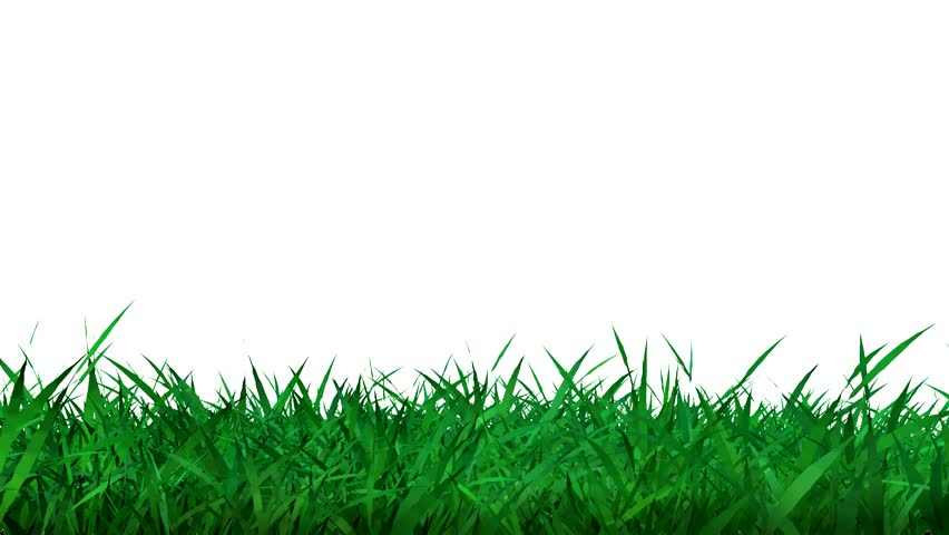 Animated Grass Stock Footage Video 40085 - Shutterstock