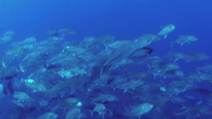 Define underwater stock options
