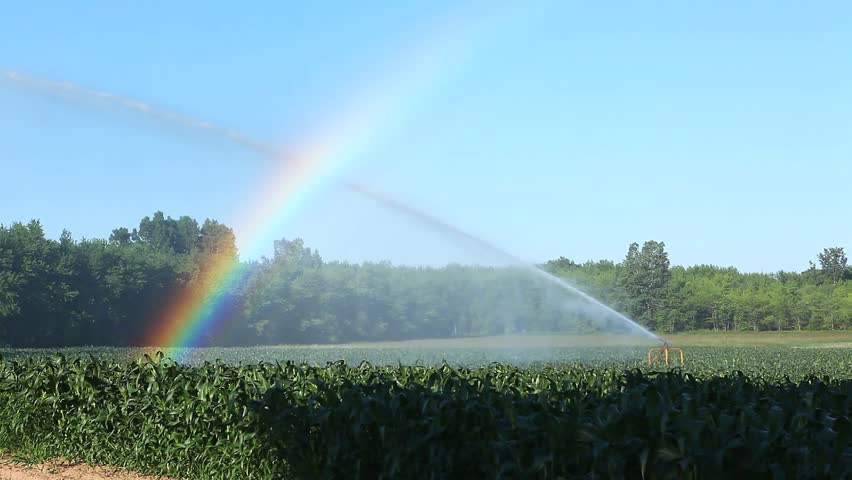 rainbow irrigation pumps for sale