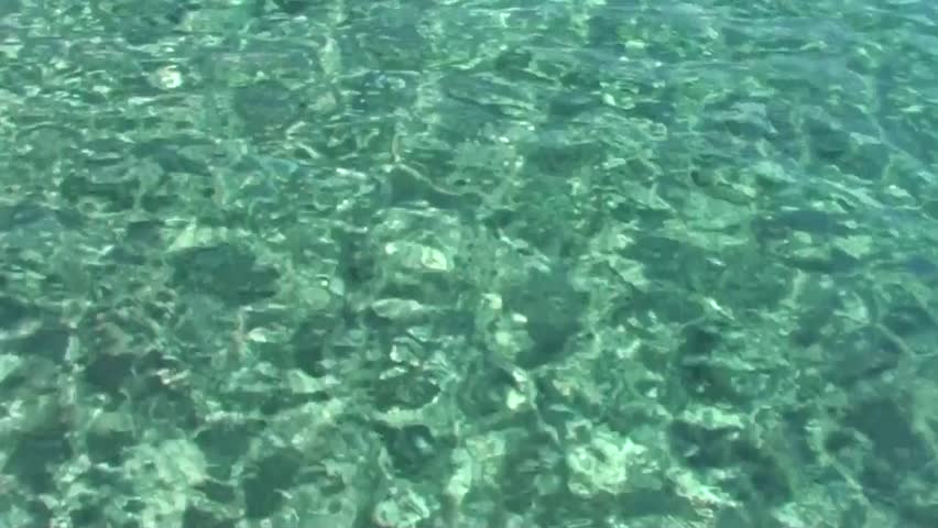 Malachite sea w...