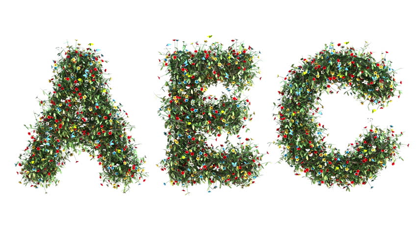 Header of AEC