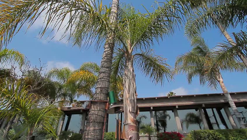 Wind Chimes Outside Home Stock Footage Video 3617498 Shutterstock Outdoor Patio Trees Tilt Down From A Palm Tree To The Hd
