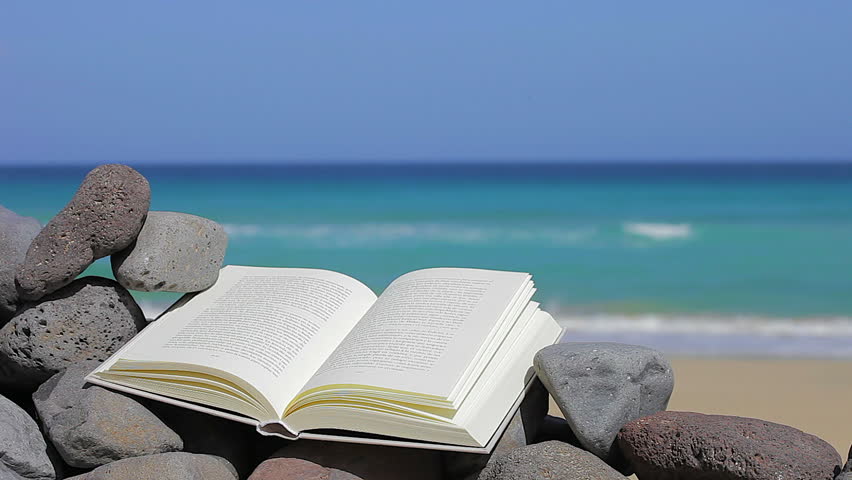 Book On The Beach Relax Concept Copy Space Stock Footage Video