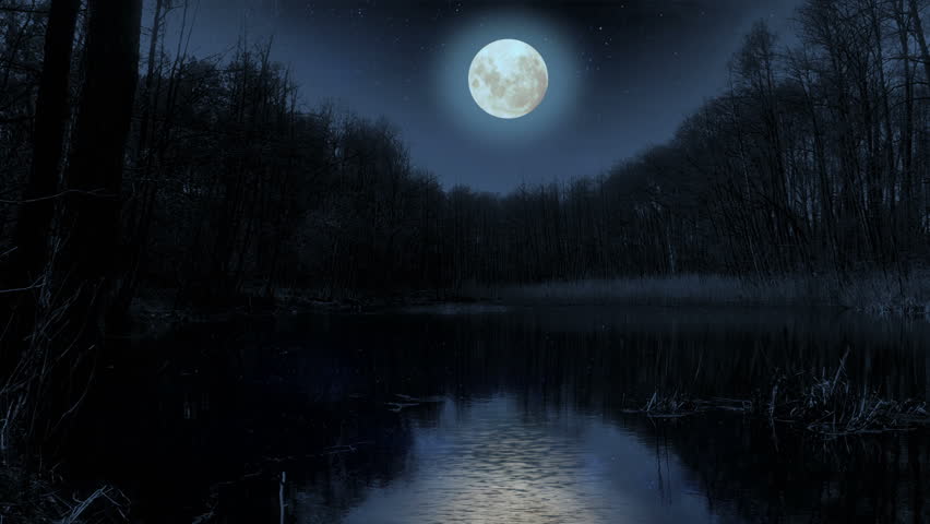 Moon Over The Lake At Night. Video Footage Of Bright Moon Over A Lake 