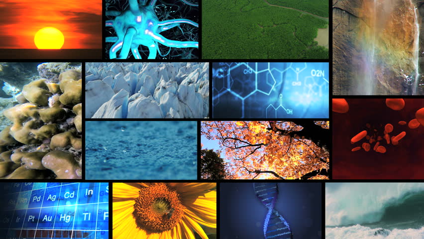 essay on multidisciplinary nature of environmental studies essay on multidisciplinary nature of environmental studies