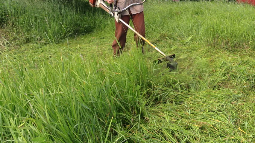 Man Cutting Grass With Lawn Mower. Stock Footage Video 2686736 