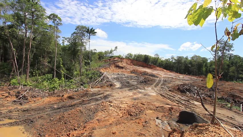 KUCHING, MALAYSIA - MAY 16 2014: Deforestation. Environmental ...