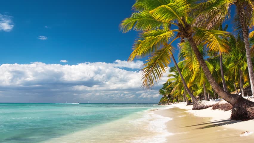 Dominican Republic Stock Footage Video - Shutterstock