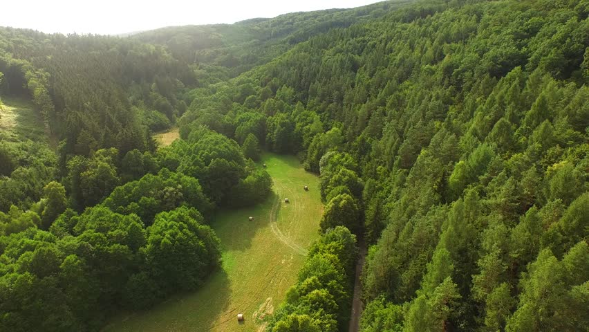 Aerial View Over River Valley Forest Road Beautiful Landscape Fertile ...