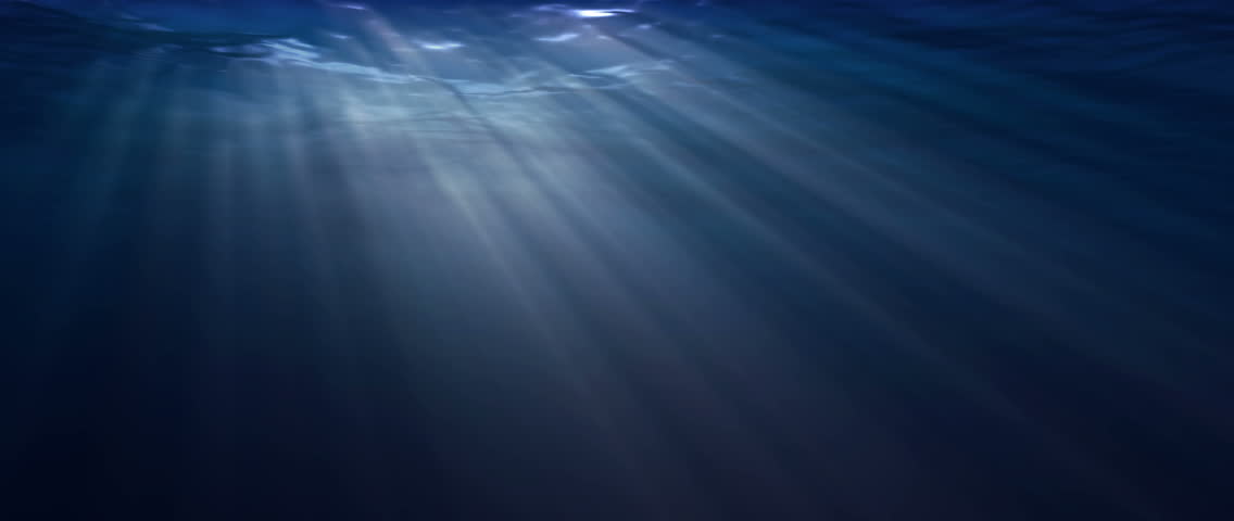 Under The Sea - Underwater Scene Stock Footage Video 1771844 - Shutterstock