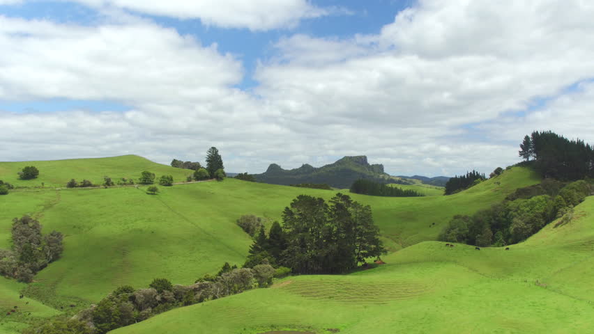 AERIAL: Flying Above Beautiful Lush Green Landscape In New Zealand With ...