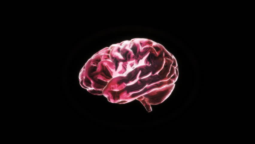 кристальный уочтный мозг геншин. мозг из прозрачного пластика. кристальный мозг геншин. остров ясиори кристальный костный мозг. кусочки хрустального мозга.