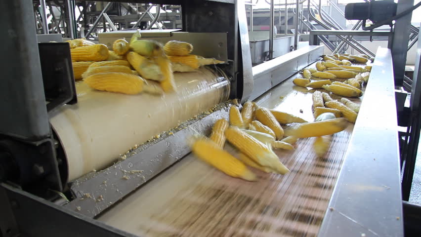 Corn Processing Factory Stock Footage Video 2735189 - Shutterstock