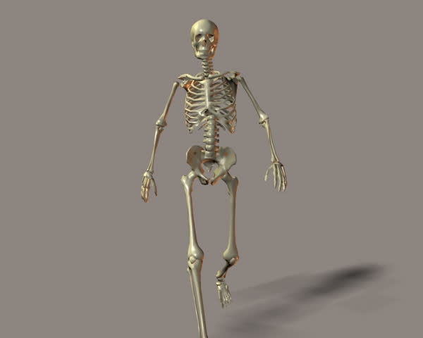 A Walking Skeleton. Stock Footage Video 2853 - Shutterstock