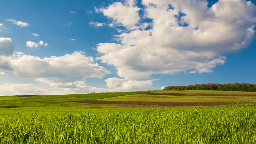 Time Lapse Clip. HD Video (High Definition). Sunny Day In The Field ...