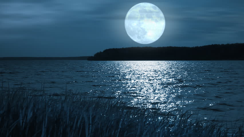 Full Moon Night Landscape With Forest Lake. Stock Footage Video 4406777 ...