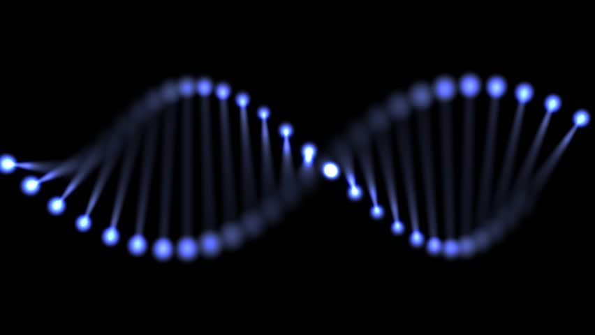 Formation Of DNA. DNA Strands Are Assembled From Individual Elements ...