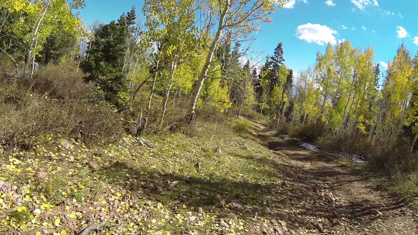 Mountain Autumn Forest Rough ATV Trail POV HD. Driving Sport Side By ...