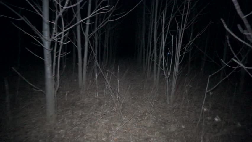 POV Shot As You Walk Through A Spooky Scary Forest At Night, Passing By ...