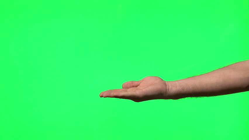 Male Hand Gestures On Green Screen: Presenting, Pointing, Thumbs Up ...