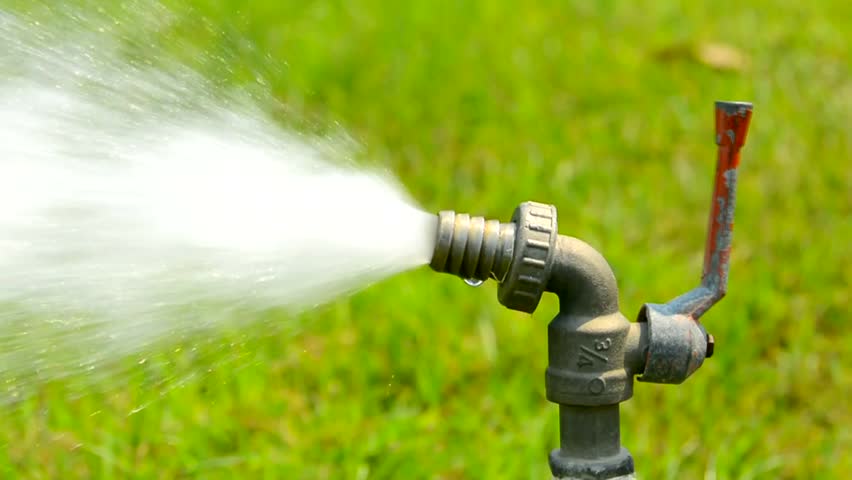 Man's Hand Holding Water Sprinkler While Gardening, Water Spraying Out ...