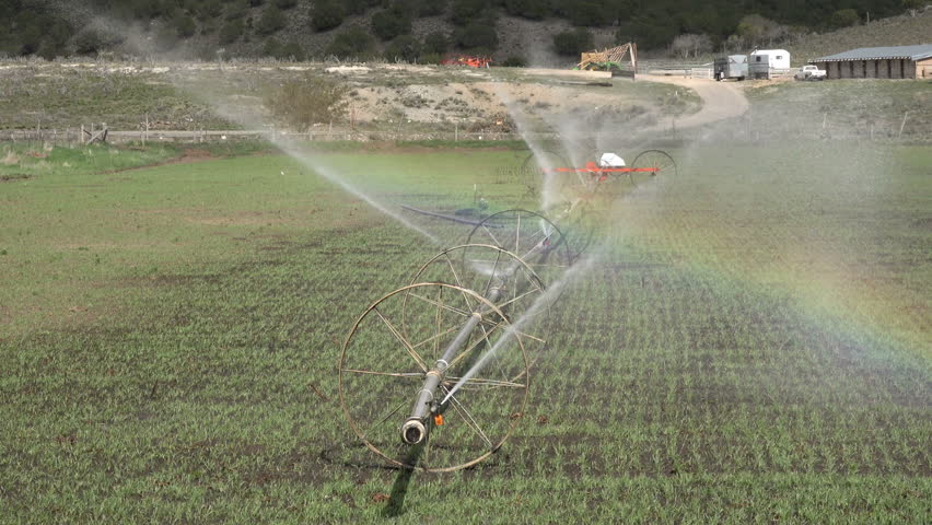 Farm Irrigation Sprinklers Rainbow 4K UHD. Farm Crop Sprinkler ...