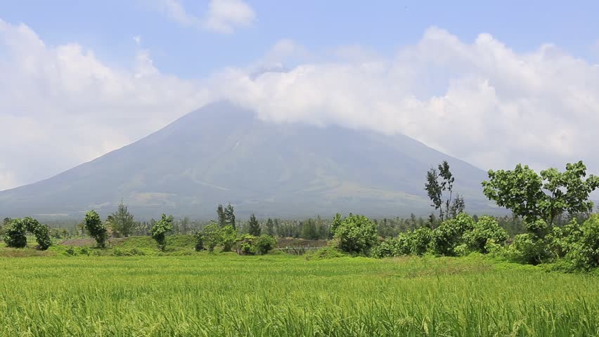 Rice Field Before Mayon Volcano In Legazpi, Philippines Stock Footage ...