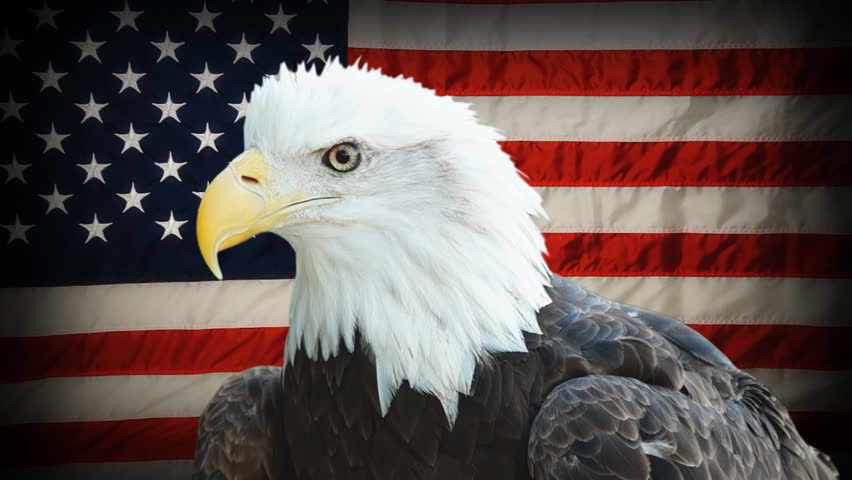 American Eagle With Animated US Flag Green Screen Video Footage - Video ...