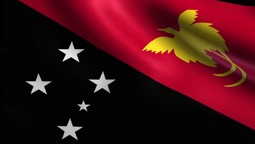 Image result for papua new guinea flag