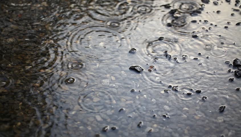 Rain drops rippling in a puddle - HD stock footage clip