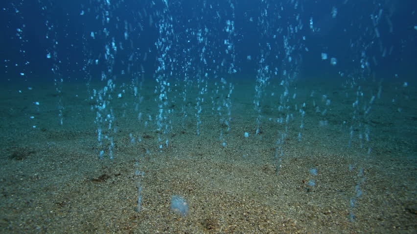 Gas Bubbles Coming Out Of Ocean Floor In Apo Island, Philippines Stock ...