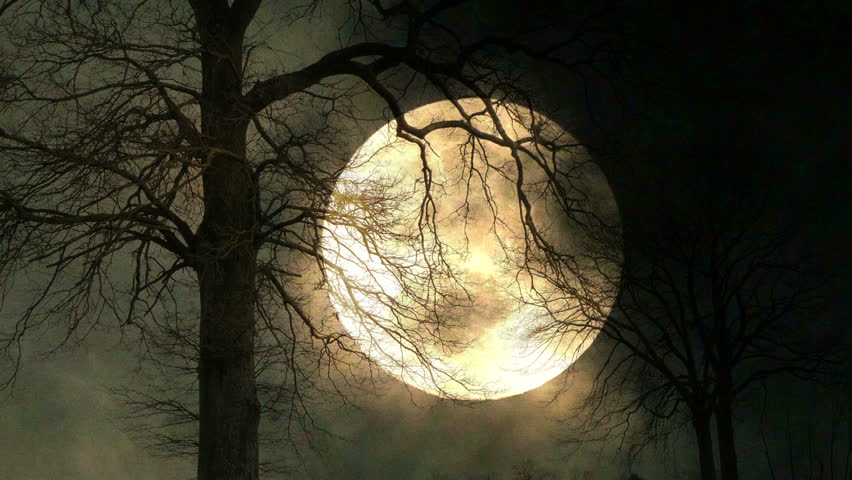Spooky Moon Background. Tree Silhouette. Large Full Moon Close Up. Time ...